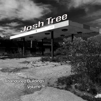 Abandoned Buildings Volume IV by Josh Tree