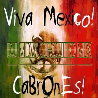 Viva Mexico 2010 (Dj Mdw Circuito Mix) by DJ MDW