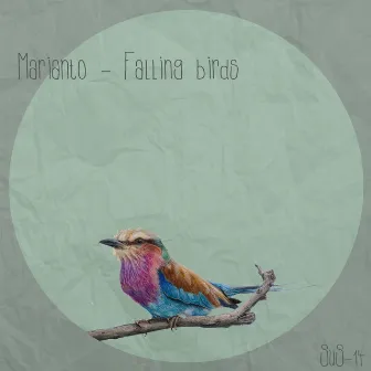 Falling Birds by Marianto