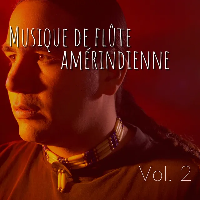 Musique de flûte amérindienne Vol. 2