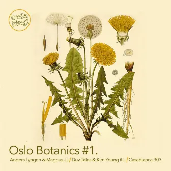 Oslo Botanics #1 by Casablanca 303