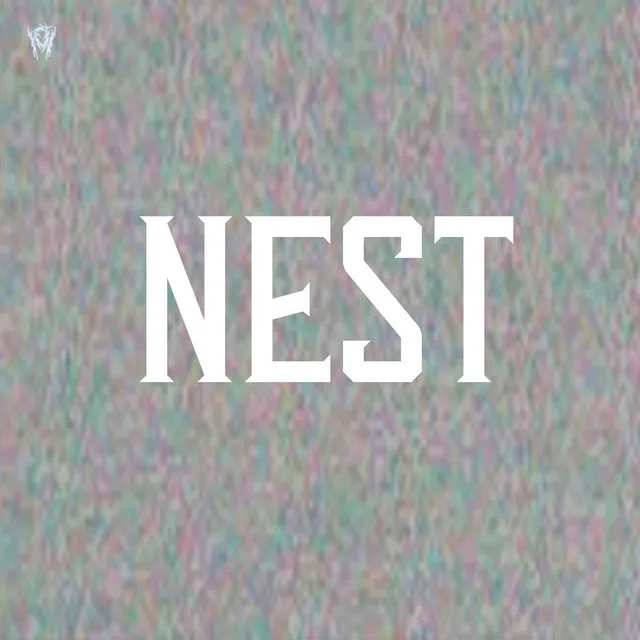 Nest