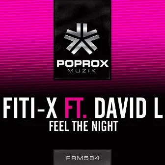 Feel The Night by David L