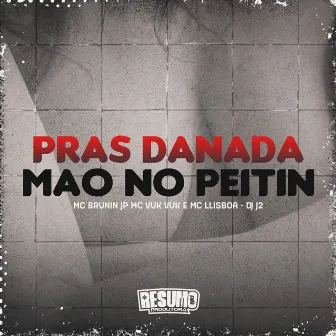 Pras Danada Mão no Peitin by Mc Brunin JP