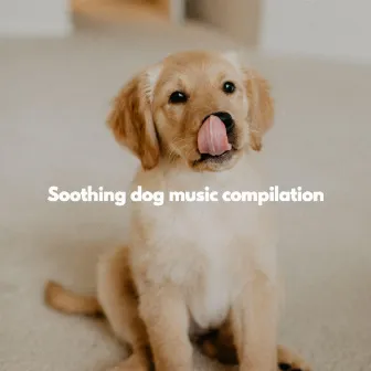 Soothing dog music compilation by Deluxe Elevator Music