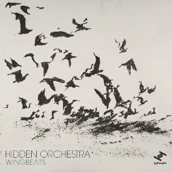 Wingbeats by Hidden Orchestra