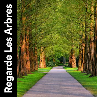 Regarde Les Arbres by Naturel Relaxation Ambiance