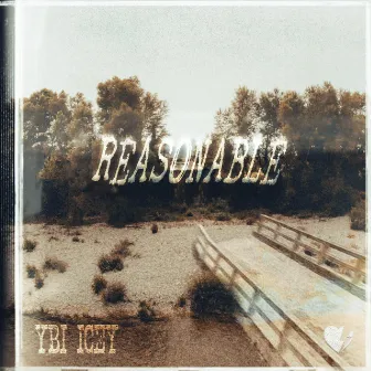 Reasonable by YBL ICEY