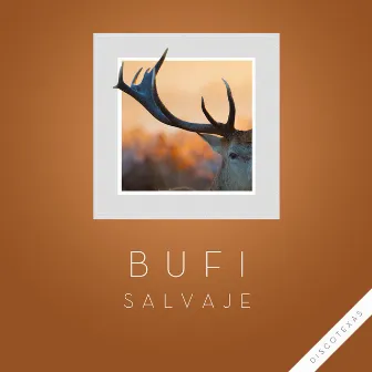 Salvaje by Bufi