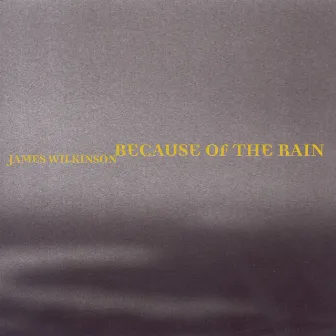 Wilkinson, James: Because of the Rain by James Wilkinson