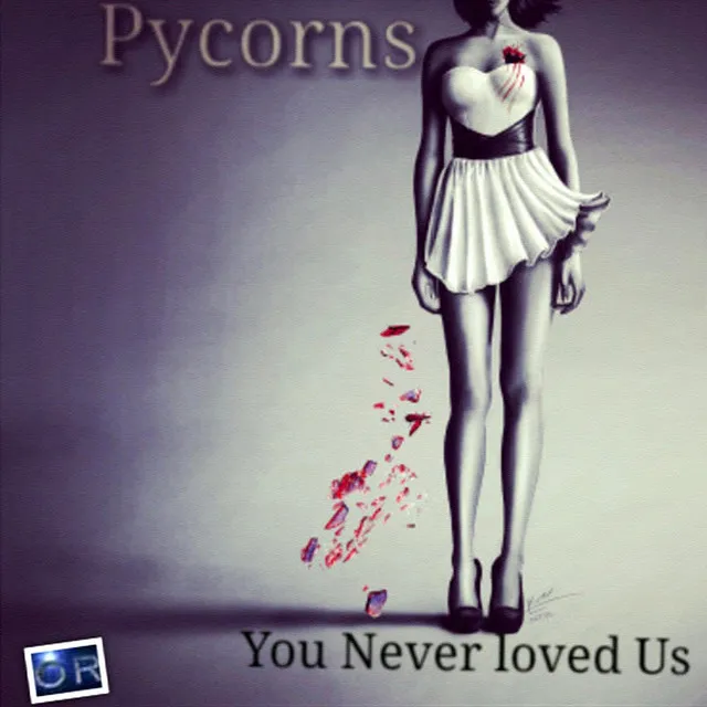 You Never Loved Us