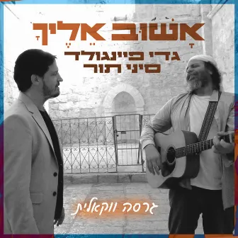 אשוב אליך (ווקאלי) by Gadi Finegold