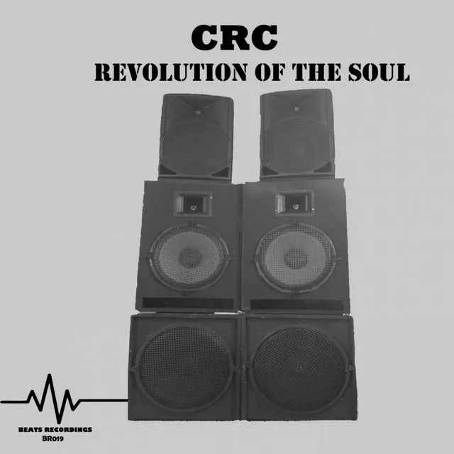 Revolution Of The Soul