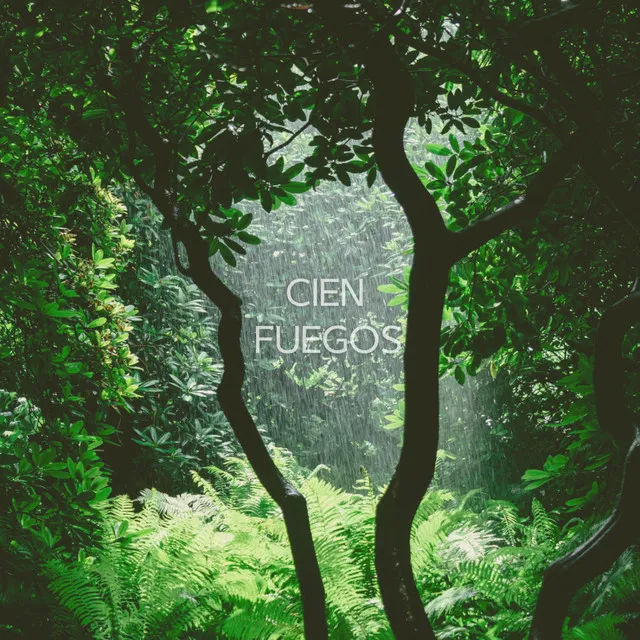 Cien Fuegos