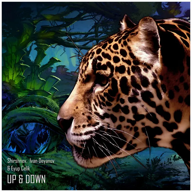 Up & Down - Original Mix