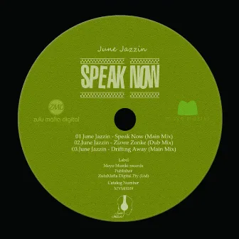 Speak Now by June Jazzin