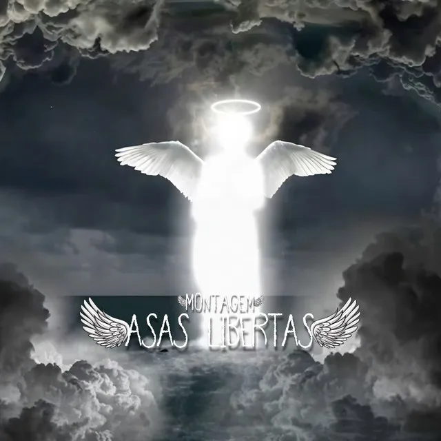 Montagem - Asas Libertas