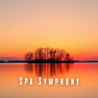 Spa Symphony: Healing Binaural Beats with Nature Tunes by Nature on Record