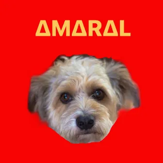 Amaral by Amaral Oficial