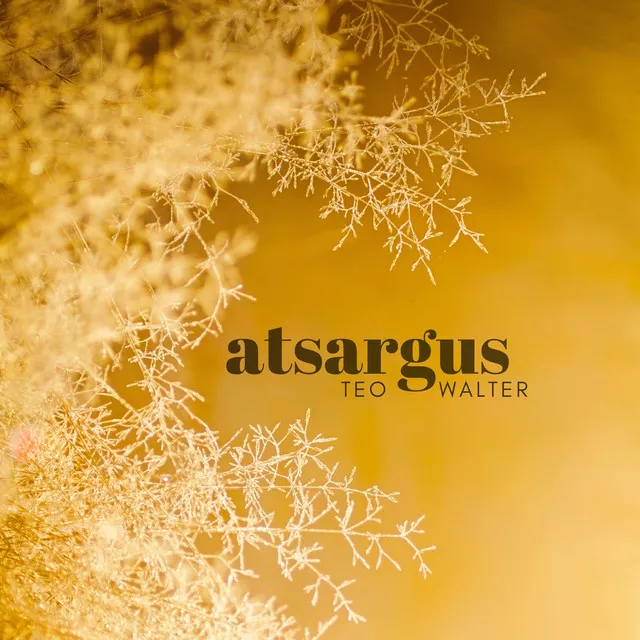 Atsargus