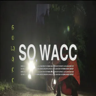 So Wacc by Lu Sloan