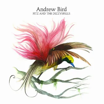 Fitz and the Dizzy Spells by Andrew Bird