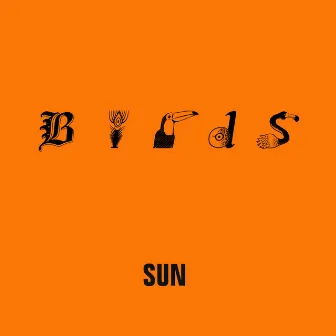 Sun by Birds