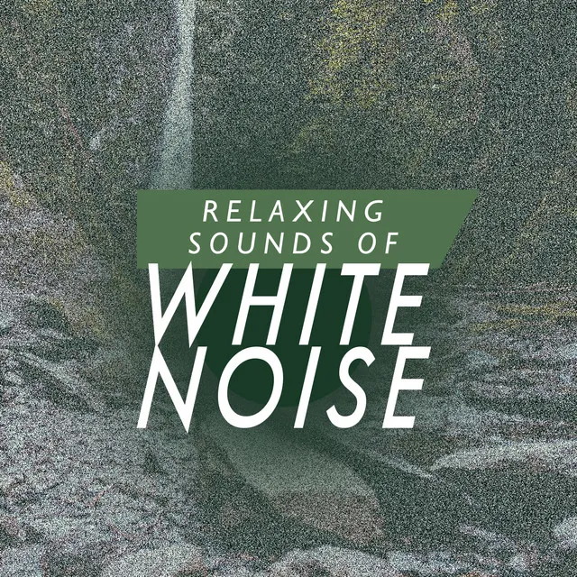 White Noise: Shower