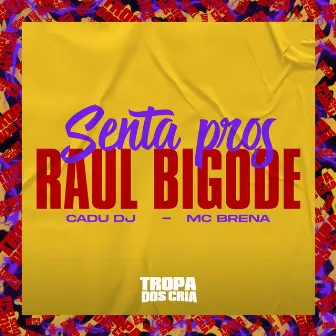 Senta Pros Raul Bigode by MC Brena