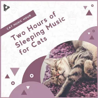 2 Hours of Sleeping Music for Cats by Cat Music Hour