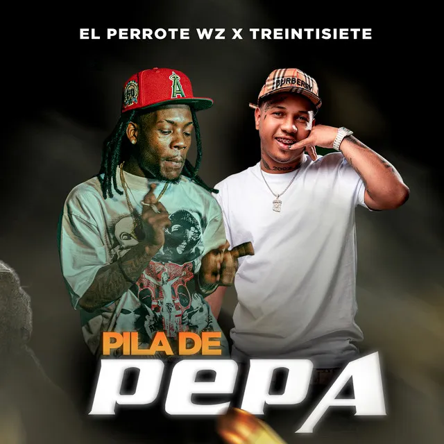 PILA DE PEPA