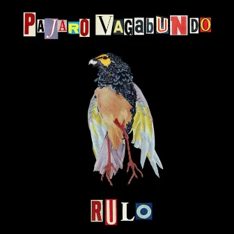 Pajaro Vagabundo (Remix) by Richi Tunacola