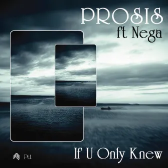 If U Only Knew Remixes (Part 1) by Prosis