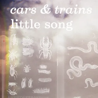 Little Song by Cars & Trains