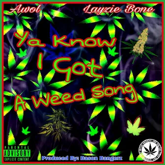 Ya Know I Got a Weed Song by Awol