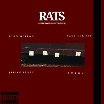 Rats by Zion O'sean