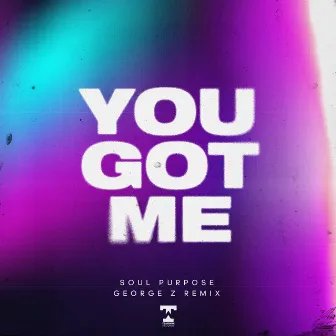 You Got Me (George Z Remix) by Soul Purpose