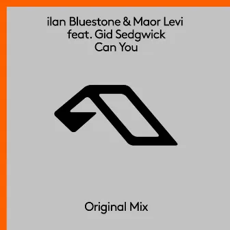 Can You by Maor Levi