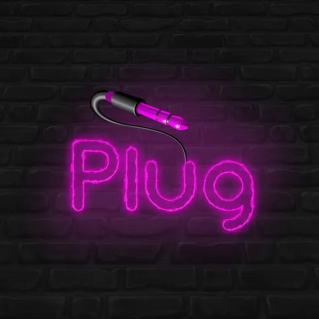 Plug