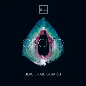 Orchid by Black Nail Cabaret