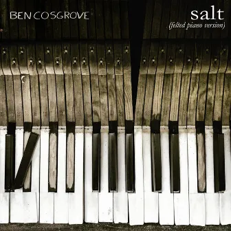 Salt (Felted Piano Version) by Ben Cosgrove