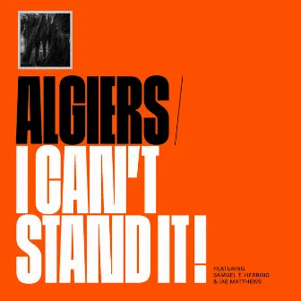 I Can't Stand It! by Algiers