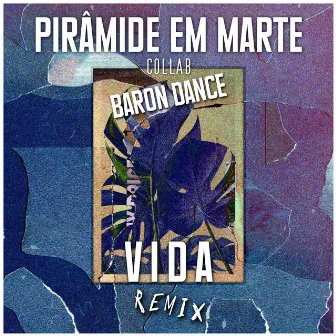 Vida (Remix) by Baron Dance