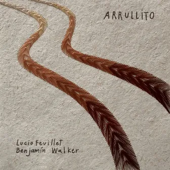 Arrullito by Lucio Feuillet