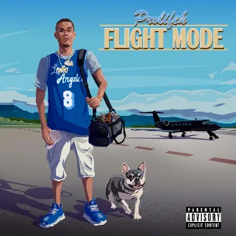 Flight Mode by Prolifek