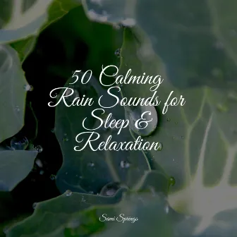 50 Calming Rain Sounds for Sleep & Relaxation by Nature and Rain