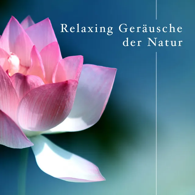 Relaxing Geräusche der Natur mit weißem Rauschen für Achtsamkeit Meditation und Entspannung