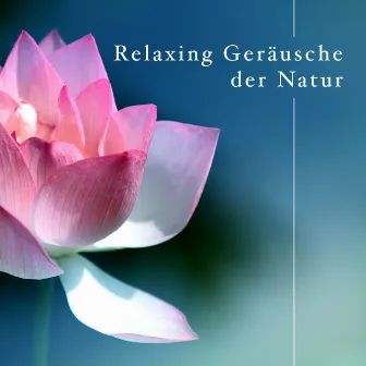 Relaxing Geräusche der Natur mit weißem Rauschen für Achtsamkeit Meditation und Entspannung by Unknown Artist