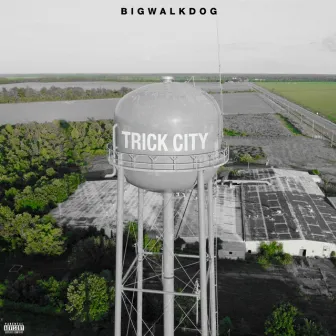 Trick City (Deluxe) by BigWalkDog