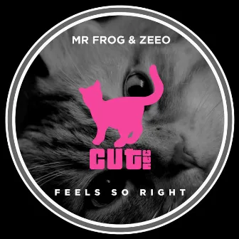 Feel so Right by Mr. Frog